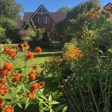 Huettblek بيت ضيافة Huttblek